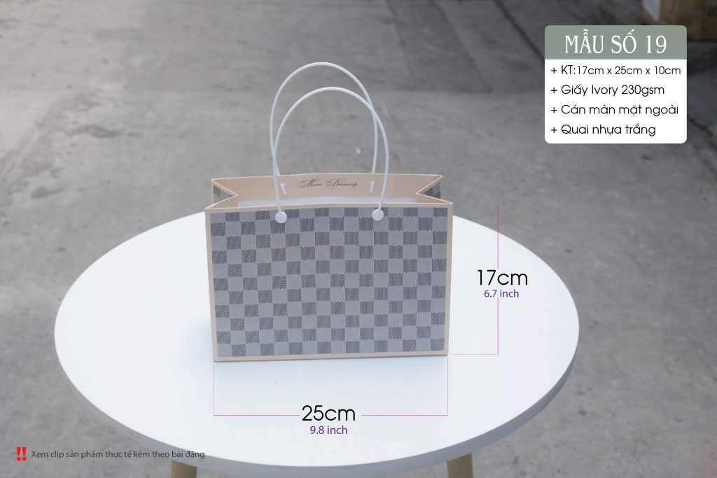 Tui giay quai ruy bang-02