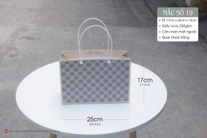 Tui giay quai ruy bang-02