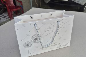 Túi giấy quai Ruy băng