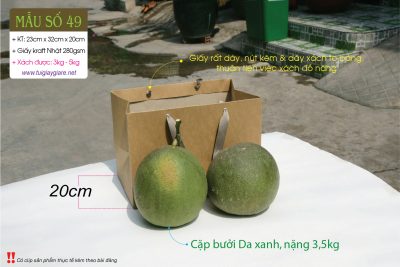 Tui giay kraft dung trai cay - paper bag for fruits
