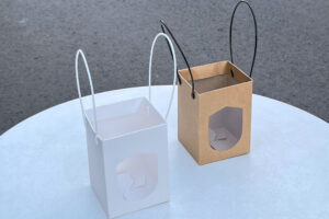 Hộp đựng cây cảnh mini