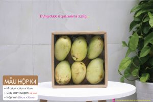 Trong hình là hộp K4 đang đựng 6 quả xoài nặng 3.2kg - Carton paper fruit basket with 3.2kg mango.