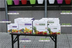Túi giấy đựng trái cây, hoa quả nhập khẩu được sản xuất và phân phối bởi cty Vũ Thị gồm có 3 size