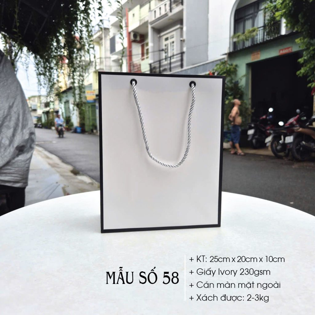 Mẫu túi giấy đẹp quai vải xoắn - Được sản xuất; phân phối bởi cty Vũ Thị