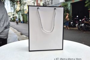 Mẫu túi giấy đẹp quai vải xoắn - Được sản xuất; phân phối bởi cty Vũ Thị