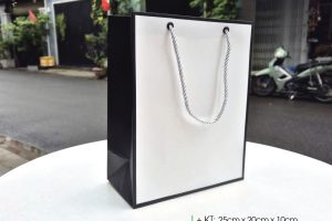 Mẫu túi giấy đẹp