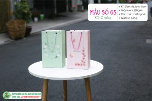 Túi đựng chai sữa tắm, dầu gội